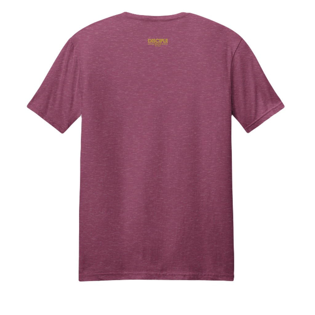 Raspberry Fleck - DM108 - BACK