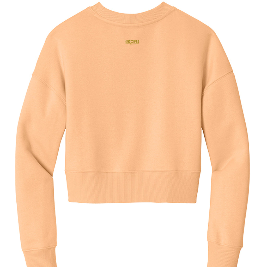 Apricot - DT1105 - BACK
